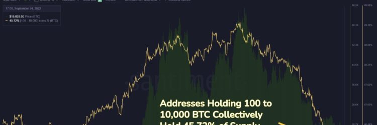 24 Crypto Miners: Opiniones y comentarios 2024