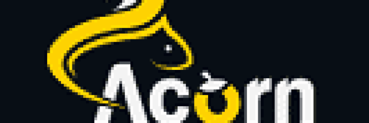 Acorn Strategic Group: Opiniones y comentarios 2024