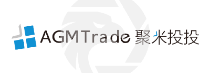 AGMGroup: Opiniones y comentarios 2024