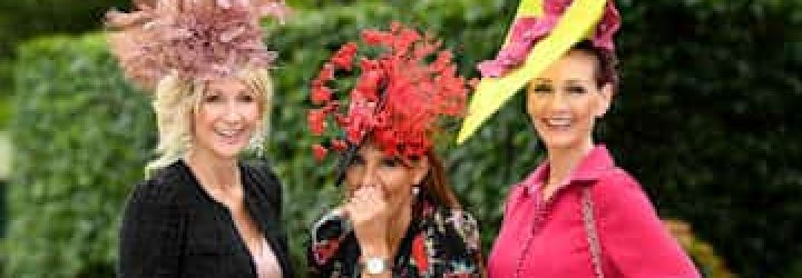 Ascot Prime: Opiniones y comentarios 2024