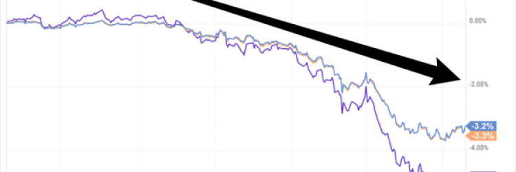 Best Investment Bonds: Opiniones y comentarios 2024
