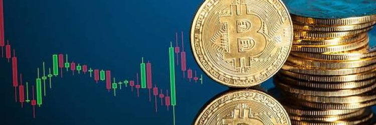 BestBit Crypto: Opiniones y comentarios 2024