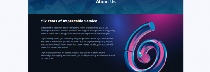 BidderProfits: Opiniones y comentarios 2024