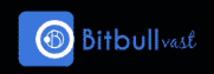 Bitbullvast: Opiniones y comentarios 2024