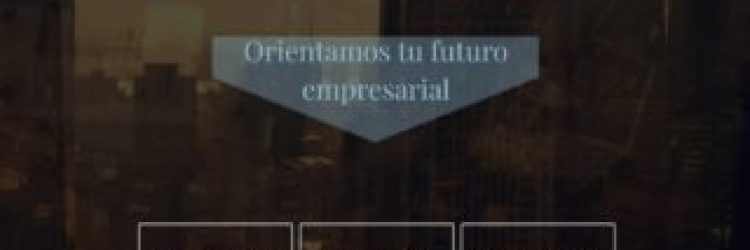 BLO INTERACTIVE: Opiniones y comentarios 2024