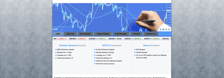 BluestarFX: Opiniones y comentarios 2024