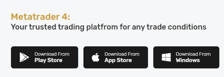 BlueWolf Markets: Opiniones y comentarios 2024