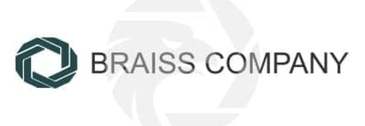 BraissCompany.com: Opiniones y comentarios 2024