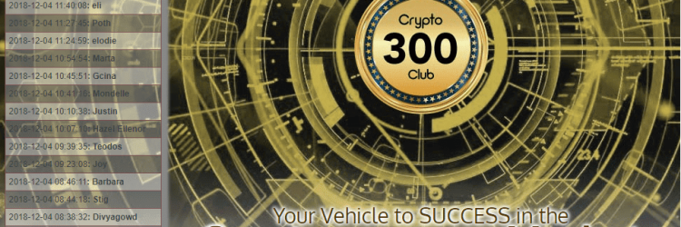 Crypto 300 Club: Opiniones y comentarios 2024