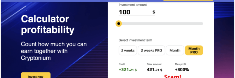 Cryptonium Invest: Opiniones y comentarios 2024