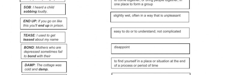 Easy Bonds: Opiniones y comentarios 2024