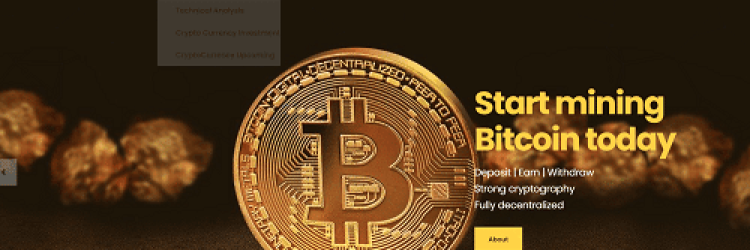 Everest Coins Invest: Opiniones y comentarios 2024