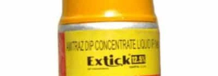 Extick: Opiniones y comentarios 2024