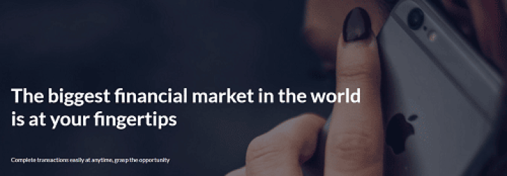 Face Capital Limited: Opiniones y comentarios 2024