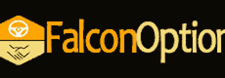 FalconOption: Opiniones y comentarios 2024