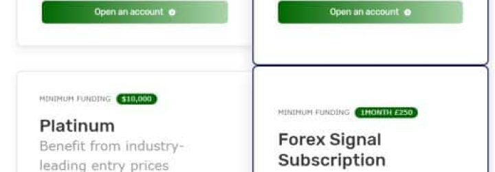 Financo Innovation Markets: Opiniones y comentarios 2024