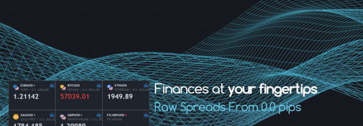 Finexico: Opiniones y comentarios 2024