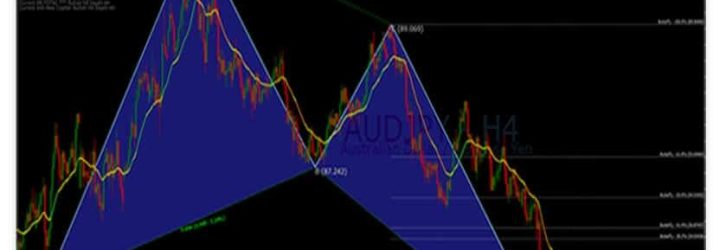 Forex Wings: Opiniones y comentarios 2024
