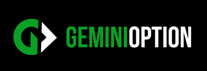 Gemini Option: Opiniones y comentarios 2024