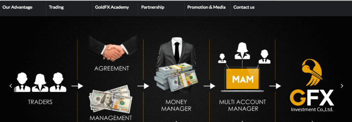 Gold Fx Trading: Opiniones y comentarios 2024