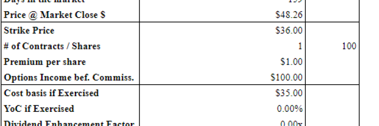Goose Investments: Opiniones y comentarios 2024