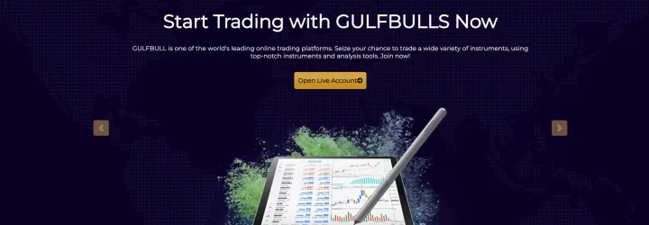 GulfBulls: Opiniones y comentarios 2024