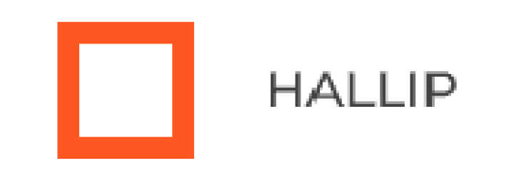 Hallip (hallip.com): Opiniones y comentarios 2024