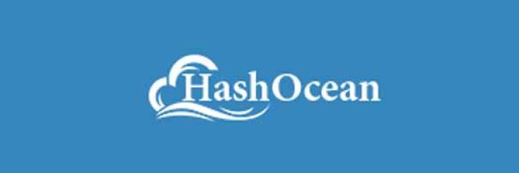 Hash-Ocean: Opiniones y comentarios 2024