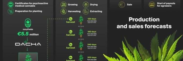 JuicyFields: Opiniones y comentarios 2024