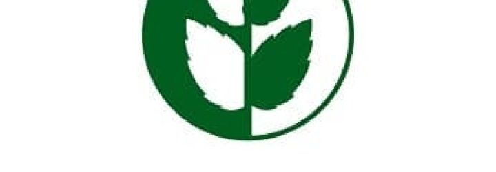 LionEXO: Opiniones y comentarios 2024