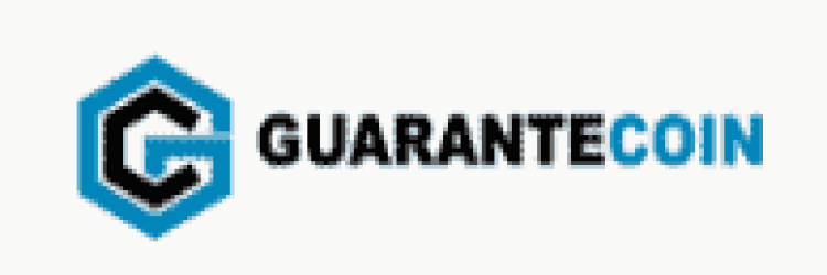 MassiveTradeInvestment: Opiniones y comentarios 2024