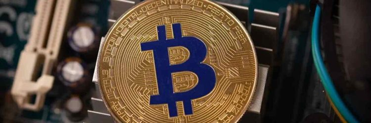 MillenniumCryptoWorld: Opiniones y comentarios 2024