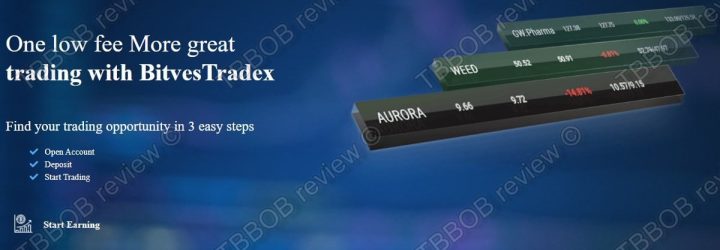 Option Tradex: Opiniones y comentarios 2024