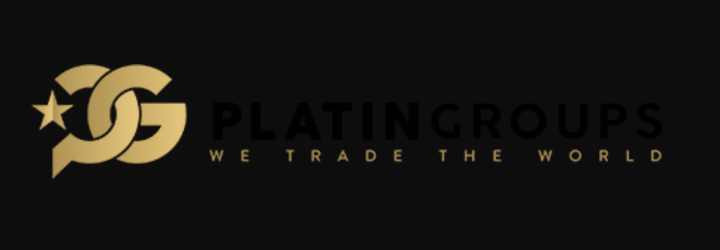 PlatinGroups: Opiniones y comentarios 2024