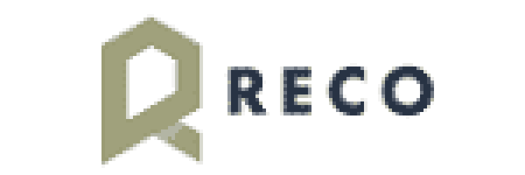 Reco Investing: Opiniones y comentarios 2024