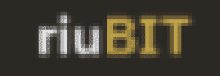 riuBIT: Opiniones y comentarios 2024