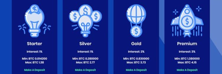 RobboForex.com: Opiniones y comentarios 2024