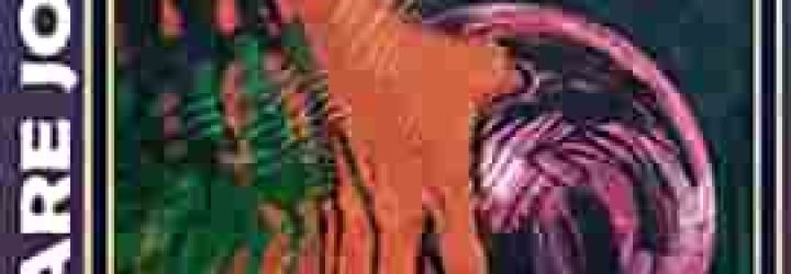 Rollinvest: Opiniones y comentarios 2024