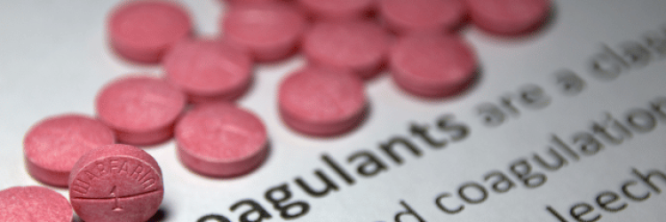 Samuray Consulting AG: Opiniones y comentarios 2024