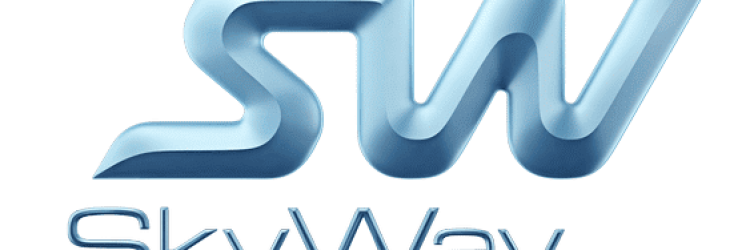 SkyWay Capital: Opiniones y comentarios 2024