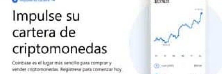 CoinYards: Opiniones y comentarios 2024