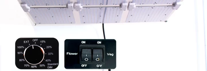 The-Quantum-Tech.com: Opiniones y comentarios 2024