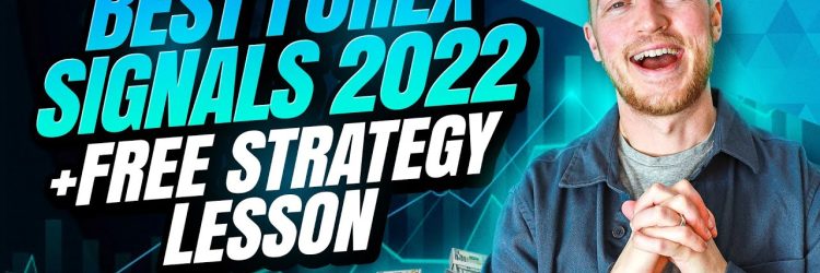 Trade with Pat: Opiniones y comentarios 2024