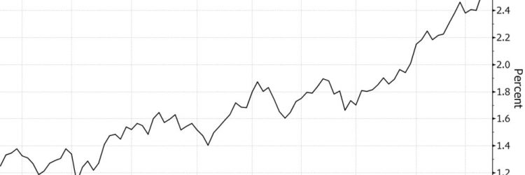 UK North Bonds: Opiniones y comentarios 2024