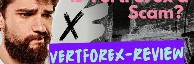 VertForex: Opiniones y comentarios 2024