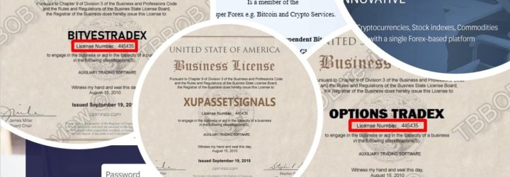 XupAssetSignals: Opiniones y comentarios 2024