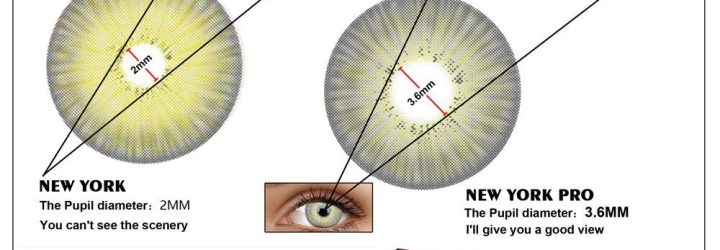 Yorkpro: Opiniones y comentarios 2024