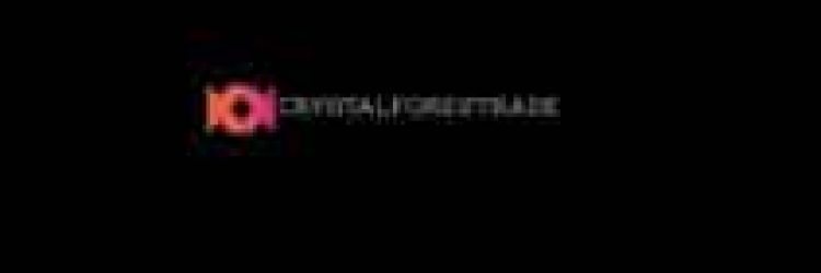 AllianceEquities.ltd & AlphaBase.ltd: Opiniones y comentarios 2024