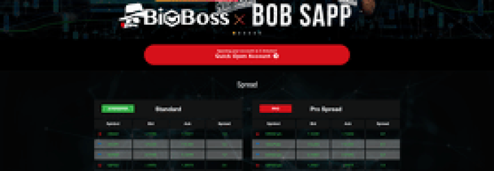BigBoss Financial: Opiniones y comentarios 2024