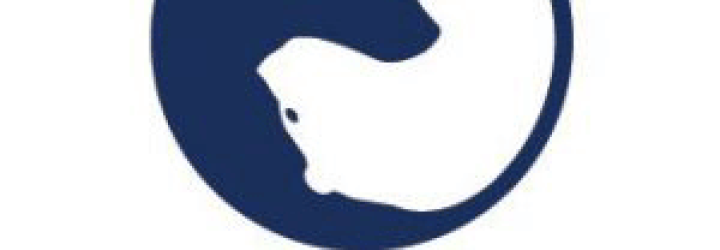 Binary-TradeIncome: Opiniones y comentarios 2024